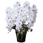 光触媒 人工観葉植物 造花 ロイヤル胡蝶蘭5本立W/AB (高さ76cm) (447A300)