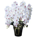 光触媒 人工観葉植物 造花 ロイヤル胡蝶蘭5本立W/AB (高さ76cm) (447A300)