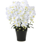 光触媒 人工観葉植物 造花 キング胡蝶蘭7本立W (高さ76cm) (451A200)