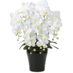 光触媒 人工観葉植物 造花 キング胡蝶蘭7本立W (高さ76cm) (451A200)