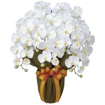 光触媒 人工観葉植物 造花 エレガント胡蝶蘭5本立W (高さ64cm) (452A80)