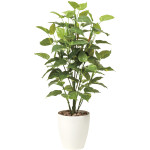光触媒 人工観葉植物 造花 フレッシュポトス1.0 (高さ100cm) (513A150)