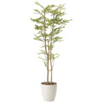 光触媒 人工観葉植物 造花 ゴールデンリーフ 1.6 (高さ160cm) (605P350)