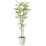 光触媒 人工観葉植物 造花 ゴールデンリーフ 1.6 (高さ160cm) (605P350)