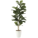 光触媒 人工観葉植物 造花 カシワバゴム1.35 (高さ135cm) (609R280)