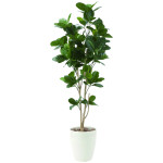 光触媒 人工観葉植物 造花 パンの木1.25 (高さ125cm) (611R250)