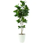 光触媒 人工観葉植物 造花 パンの木1.25 (高さ125cm) (611R250)