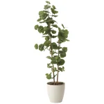光触媒 人工観葉植物 造花 シーグレープ1.6 (高さ160cm) (616A280)