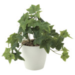 光触媒 人工観葉植物 造花 フレッシュアイビーS (高さ25cm) (640A35)
