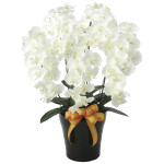 光触媒 人工観葉植物 造花 プレミアム胡蝶蘭5本立W (高さ75cm) (651K200)