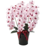光触媒 人工観葉植物 造花 プレミアム胡蝶蘭5本立 (高さ75cm)