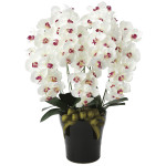 光触媒 人工観葉植物 造花 プレミアム胡蝶蘭5本立W/AB (高さ75cm) (653K200)