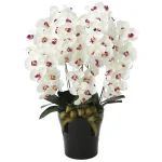 光触媒 人工観葉植物 造花 プレミアム胡蝶蘭5本立W/AB (高さ75cm) (653K200)