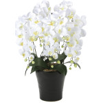 光触媒 人工観葉植物 造花 クイーン胡蝶蘭5本立W (高さ74cm) (654A150)