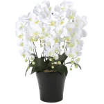 光触媒 人工観葉植物 造花 クイーン胡蝶蘭5本立 (高さ74cm)