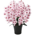 光触媒 人工観葉植物 造花 プレミアム胡蝶蘭7本立P (高さ75cm) (656A250)