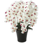 光触媒 人工観葉植物 造花 プレミアム胡蝶蘭7本立W/AB (高さ75cm) (657A250)