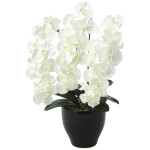 光触媒 人工観葉植物 造花 プレミアム胡蝶蘭W (高さ68cm) (659K135)