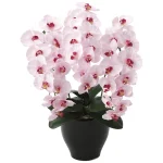 光触媒 人工観葉植物 造花 プレミアム胡蝶蘭 (高さ68cm)