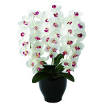 光触媒 人工観葉植物 造花 プレミアム胡蝶蘭W/AB (高さ68cm) (661K135)