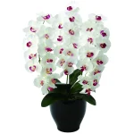 光触媒 人工観葉植物 造花 プレミアム胡蝶蘭 (高さ68cm)