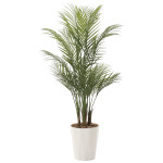 光触媒 人工観葉植物 造花 アレカパ-ム1.35(ポリ製) (高さ135cm) (720P320)
