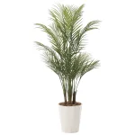光触媒 人工観葉植物 造花 アレカパ-ム1.35(ポリ製) (高さ135cm) (720P320)