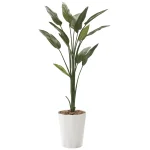 光触媒 人工観葉植物 造花 ストレチア1.6 (高さ160cm) (729R300)