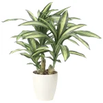 光触媒 人工観葉植物 造花 幸福の木S (高さ60cm) (829K135)