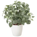 光触媒 人工観葉植物 造花 フィットニアM(フロック加工) (高さ48cm) (832P100)