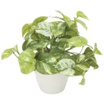 光触媒 人工観葉植物 造花 マ―ブルポトス (高さ25cm) (836G35)