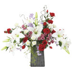 光触媒 人工観葉植物 造花 レッドエレガンス (高さ60cm) (839R240)