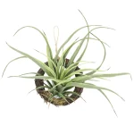 光触媒 人工観葉植物 造花 エア―プランツR(ポリ製) (高さ19cm) (866K10)