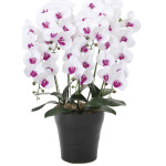 光触媒 人工観葉植物 造花 フレッシュ胡蝶蘭  5本立W/L (高さ72cm) (876P220)