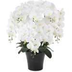 光触媒 人工観葉植物 造花 フレッシュ胡蝶蘭 8本立W (高さ75cm) (877P330)