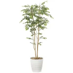 光触媒 人工観葉植物 造花 マウンテンアッシュ1.8 (高さ180cm) (900R480)