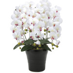 光触媒 人工観葉植物 造花 クイーン胡蝶蘭5本立W/AB (高さ74cm) (916A150)