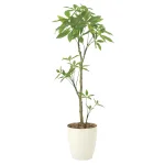 光触媒 人工観葉植物 造花 フレッシュパキラ1.3 (高さ130cm)