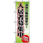 のぼり旗 (1471) 入居者募集中 説明会随時開催中