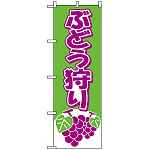 のぼり旗 (2211) ぶどう狩り 緑/紫