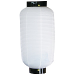 【六長】無地ちょうちん (9050) 白