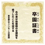 ※バックパネル本体は別売です。