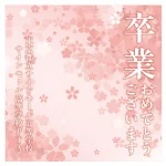 【デザインNo.7-1】卒業式向けフォトスポット背景幕 さくら柄優しいピンク色背景 印刷製作代 3×3タイプ用 (※本体別途) 防炎トロクロス【つなぎ目なしの1枚布】 サイドカバー有り 幕単品購入用