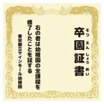 ※バックパネル本体は別売です。