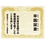 ※バックパネル本体は別売です。