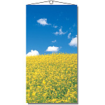 【2025年春商品】タペストリー NEW菜の花 (No177-03_07)