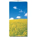 【2026年春】タペストリー NEW菜の花 (No181-3)