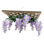 【2026年春】藤棚 (No181-14)