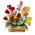 【2026年春】チューリップウッドアレンジ (No181-12)