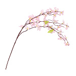 【2025年春商品】ミニシダレ桜 (No177-12_07)